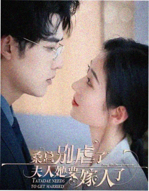 年代剧排行榜四合院里的春天